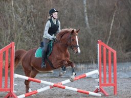 IMG-2201-040